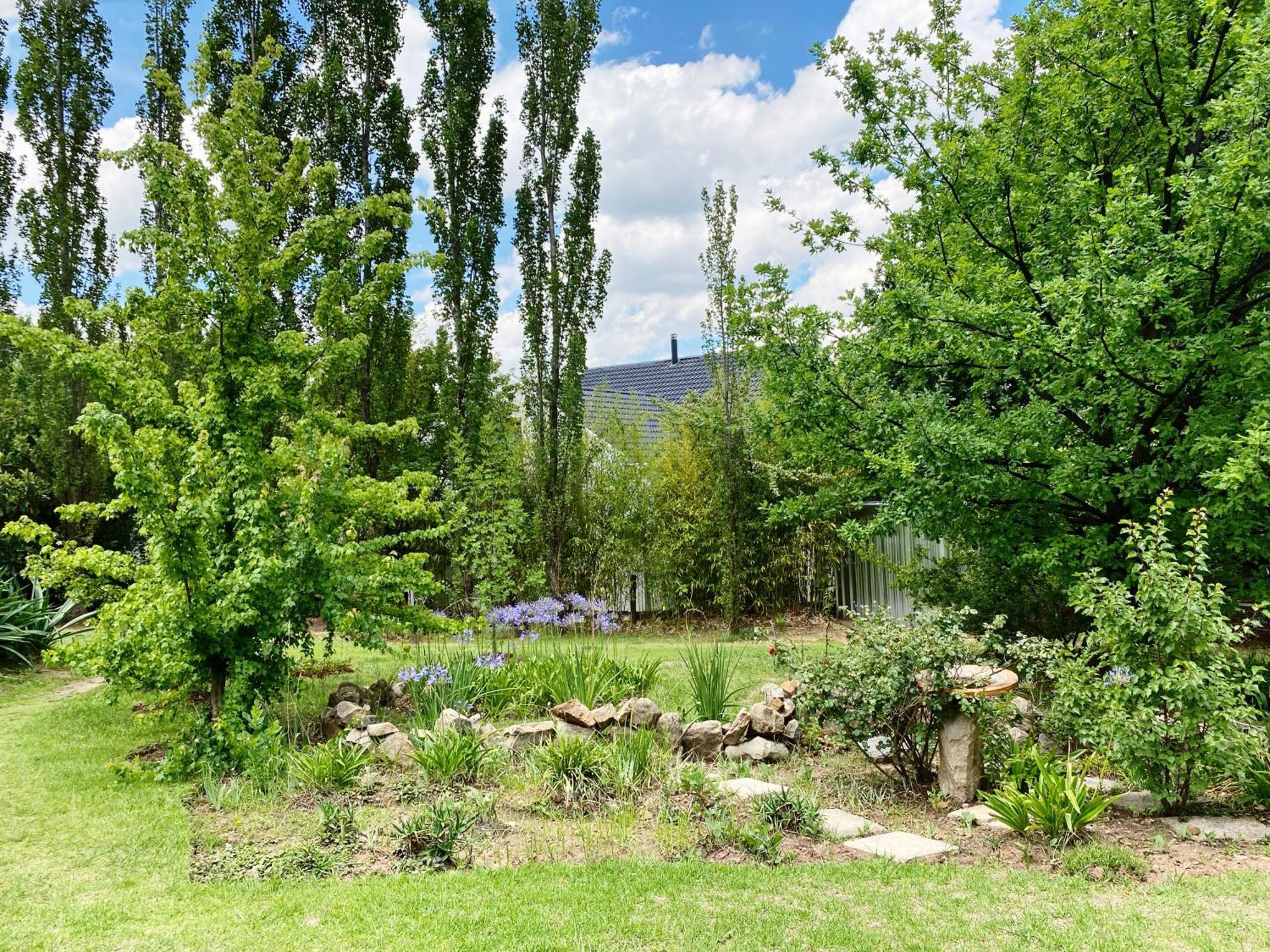 Collett House And Lavender Cottage Clarens Ngoại thất bức ảnh