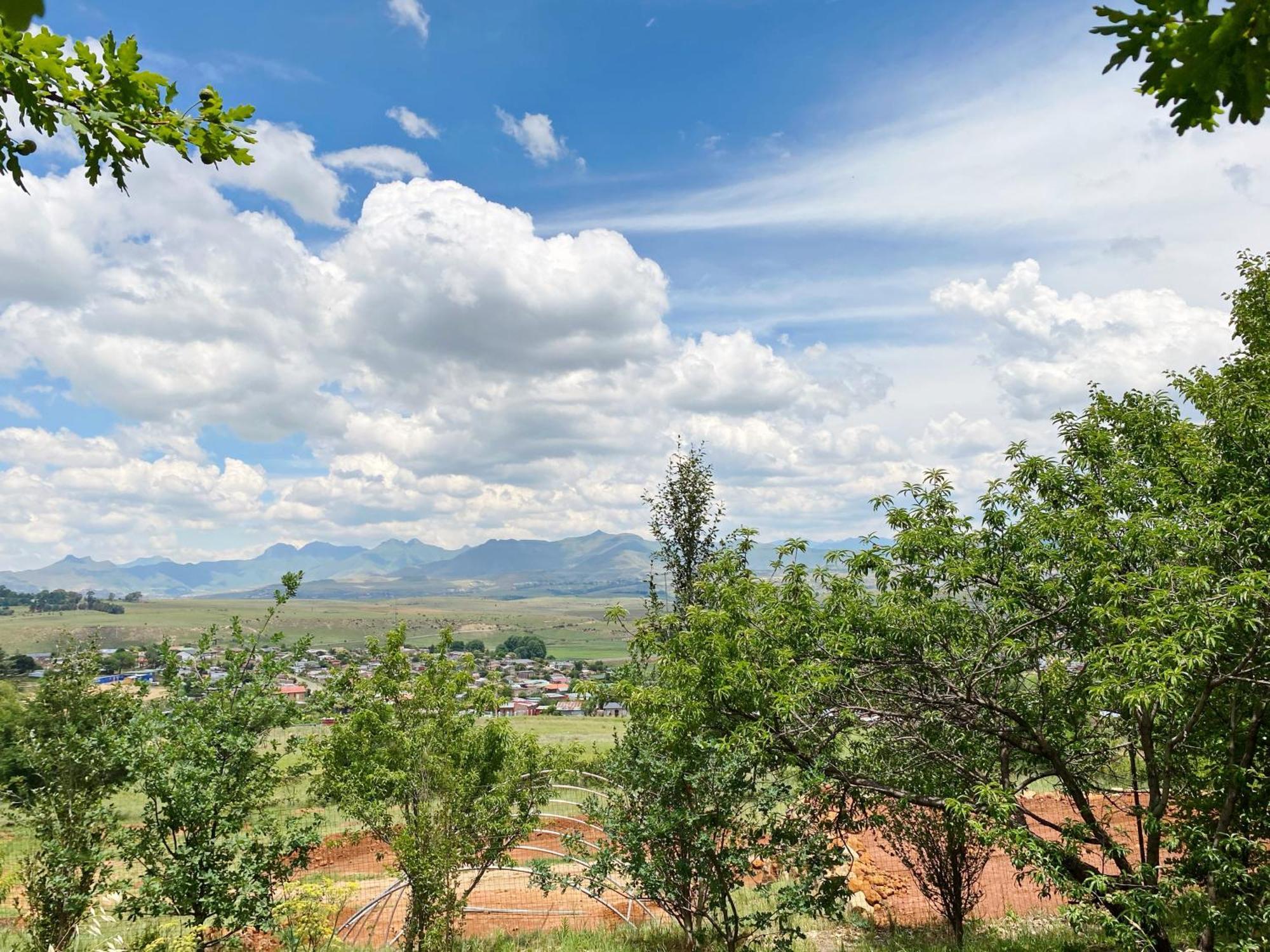 Collett House And Lavender Cottage Clarens Ngoại thất bức ảnh