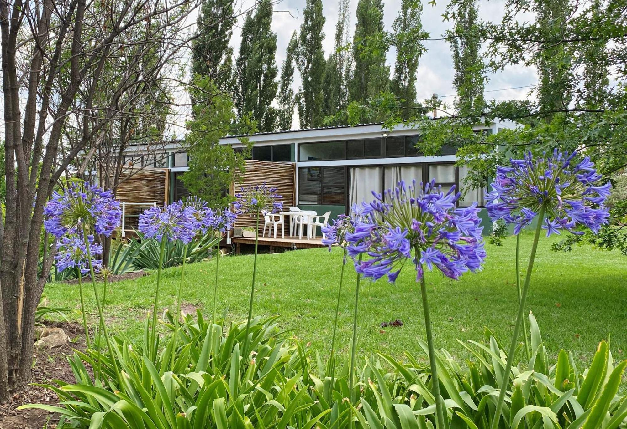Collett House And Lavender Cottage Clarens Ngoại thất bức ảnh